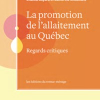 http://allaiterauquebec.org/bibliotheque_virtuelle/documents/Bayard_promotion_allaitement_Quebec_22p_intro_table_matieres.pdf